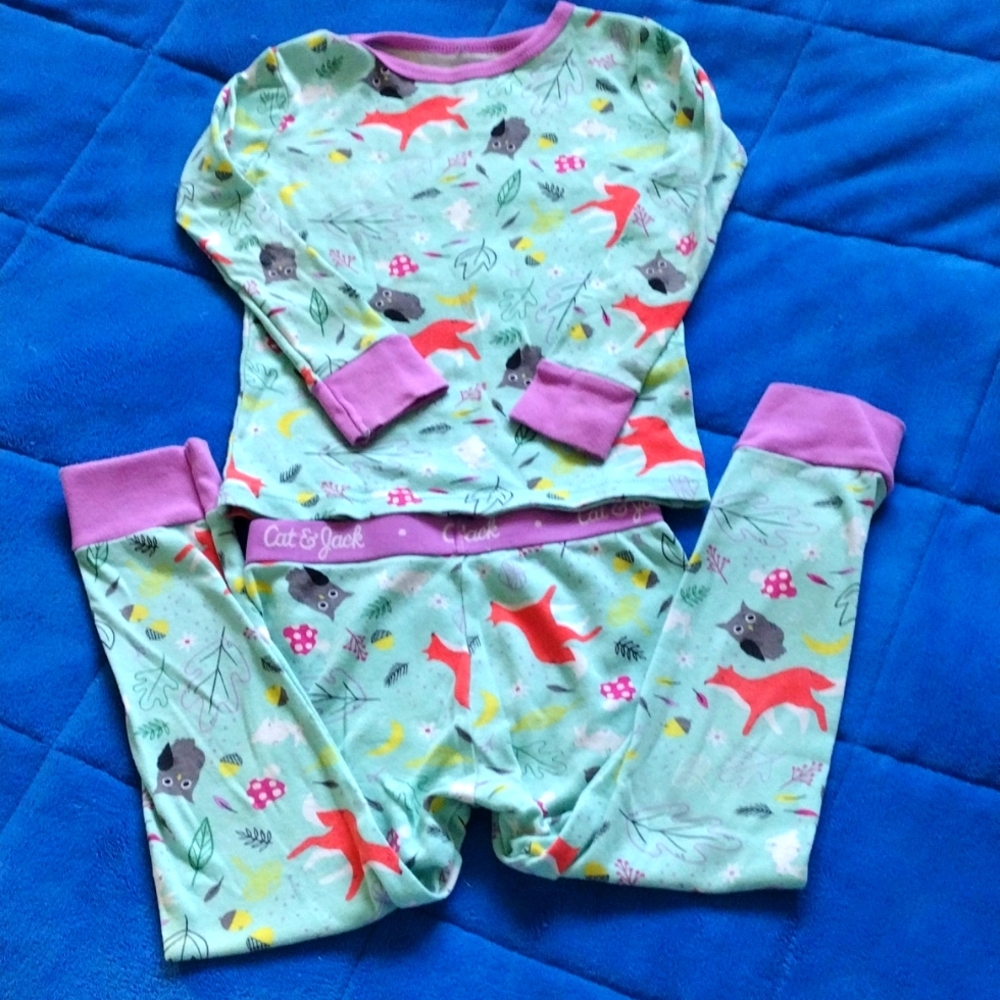 Cat and Jack 4T girls pajama set